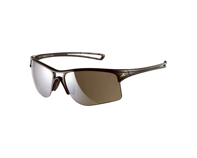 adidas raylor s sunglasses