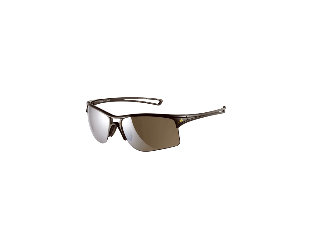 adidas raylor sunglasses