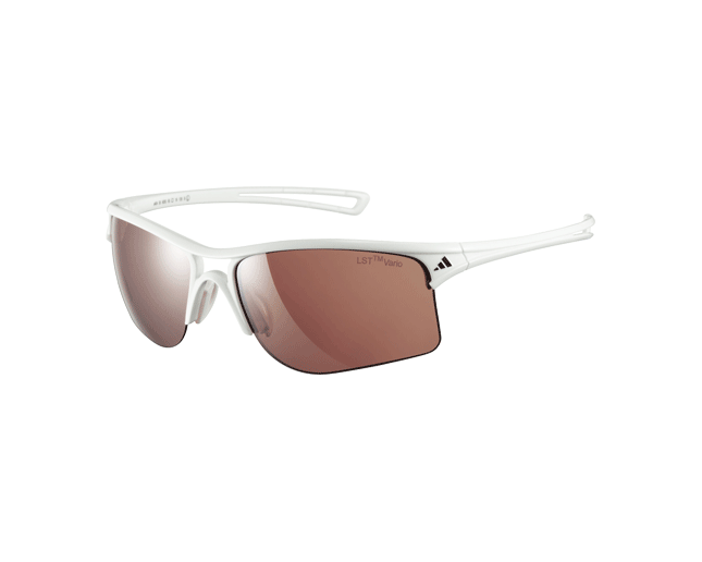 adidas raylor sunglasses