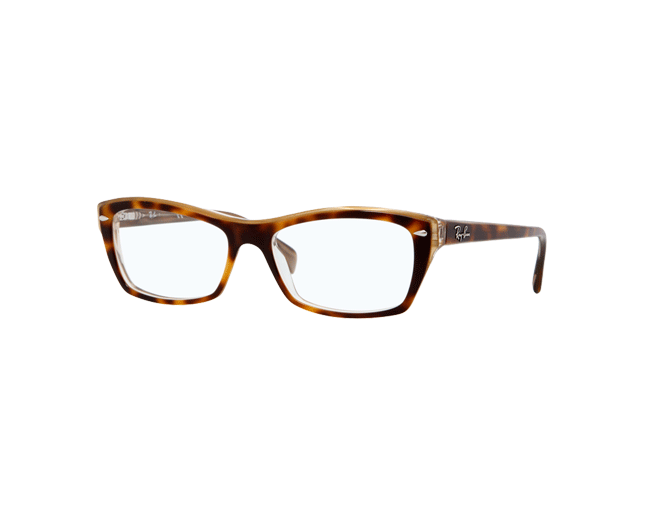 Ray ban beige havana new arrivals