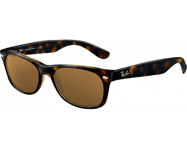 rb2132 tortoise polarized