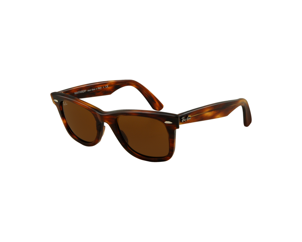 tortoise wayfarer eyeglasses