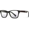 Shwood Acetate Canby Tortoise/Ebony