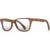 Shwood Acetate Canby Tortoise/Ebony