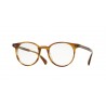 Oliver Peoples Delray Vintage Classic Raintree