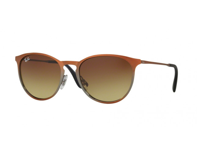 Ray-Ban Erika Velvet