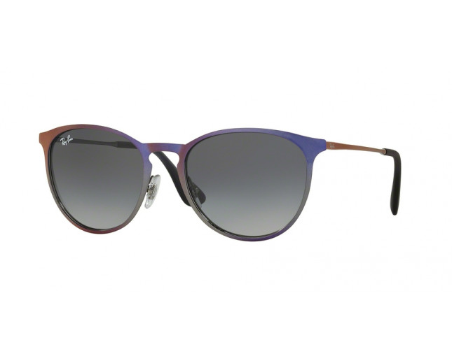 Ray-Ban Erika Velvet