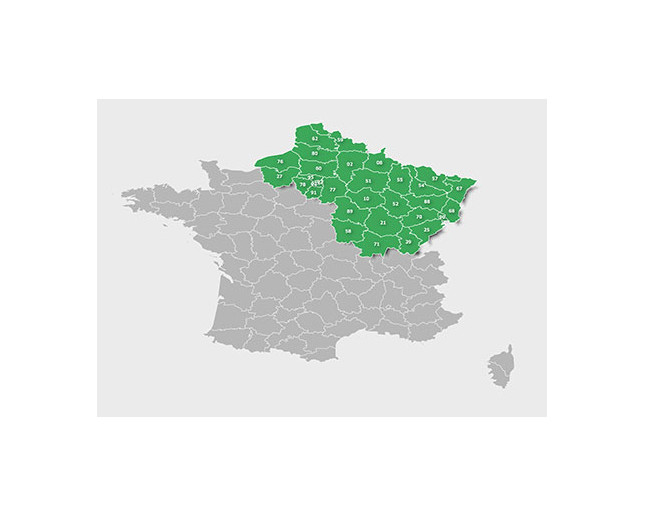 Garmin Topo France North-East Pro
