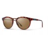 Smith Questa/W Havana-Brown polarized