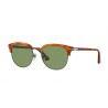 Persol 3105S Ecaille Brown Crystal Green