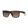 Ray-Ban Justin Dark Rubber Havana  Polar Brown Gradient  