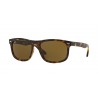 Ray-Ban RB4226 Shiny Havana Plastic Dark Brown