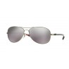 Ray-Ban RB8301 Matte Silver Crystal Polar Grey Mirror Silver Grey