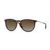 Ray-Ban Erika Black Titanium Cristal Blue Mirror