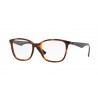 Ray Ban RX7066 Shiny Tortoise/Blue 