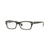 Ray-Ban Junior RY1550 Top Black On Transparent