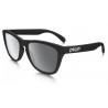 Oakley Frogskins Mate black-black iridium polarisé