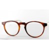 PO77 M539 Brown Tortoise