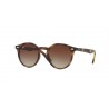 Ray-Ban 9064S Shiny Havana Brown Gradient