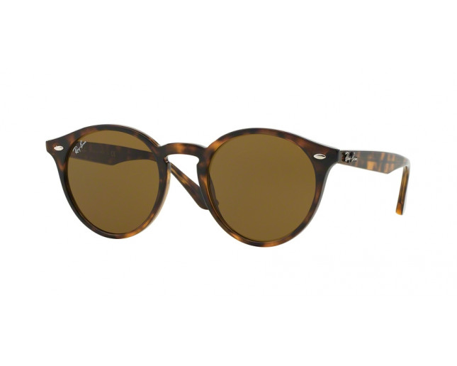 ray ban dark havana