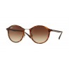 Ray Ban RB4242 Light Havana Brown Gradient