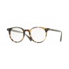 Oliver Peoples Delray Vintage Classic Hickory Tortoise