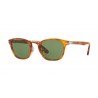 Persol Typewriter Edition Havana Mineral Green