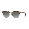 Persol 3105S Ecaille Brown Green Lenses