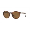 Persol 3171S Havana Brown Polarized