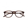 Spektre Brent Havana striped