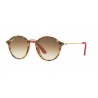 Ray-Ban RB2447NM Ferrari Edition Havana Brown Gradient