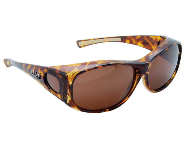 Clari Ursa Tortoise Brown Polarized