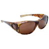 Clari Ursa Tortoise Brown Polarized