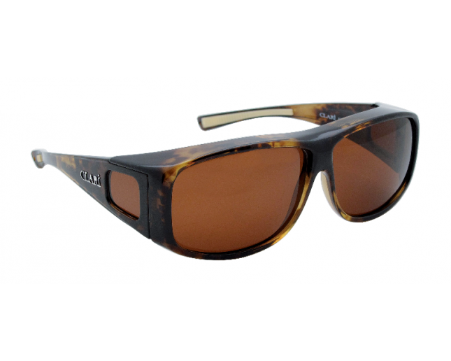 Clari Pictor Tortoise Brown Polarized