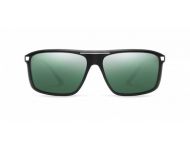 Barberini Explorer BR1609 Matte black-Platinum gradient emerald Polarized Platinum