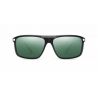 Barberini Explorer BR1609 Matte black-Platinum gradient emerald Polarized Platinum