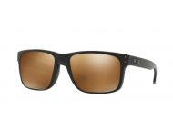 Oakley Holbrook OO9102-63