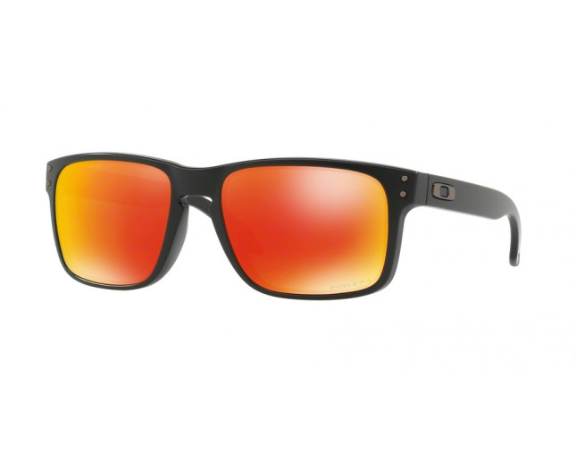 Oakley Holbrook OO9102-63