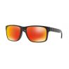 Oakley Holbrook OO9102-63