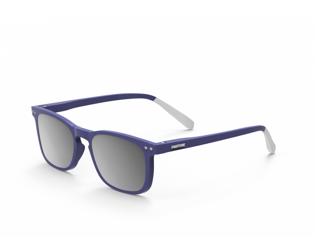 Pantone N°3 Grey Flash Silver Polarized