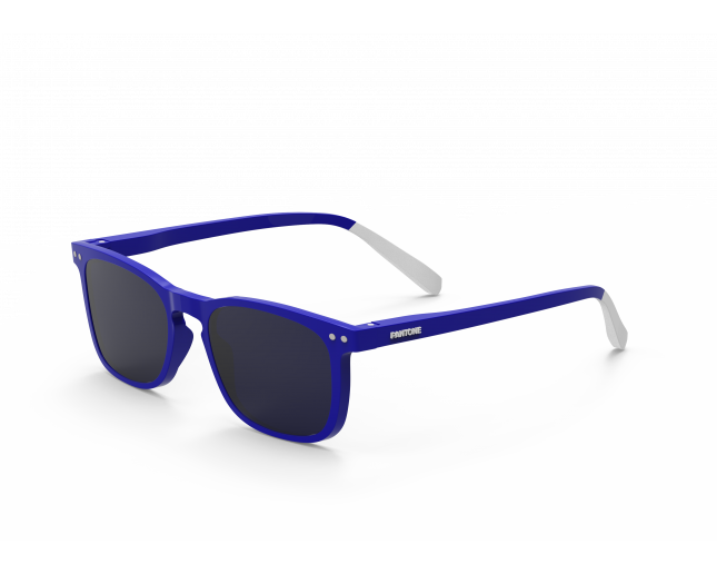 Pantone N°3 Electric Blue Grey Polarized