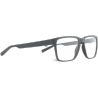 Spect Eyewear Pyrmont Shiny Tortoise