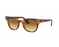 Ray-Ban New Wayfarer Top Black On Transparent Green 