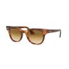 Ray-Ban Meteor Stripped Havana Clear Gradient Brown