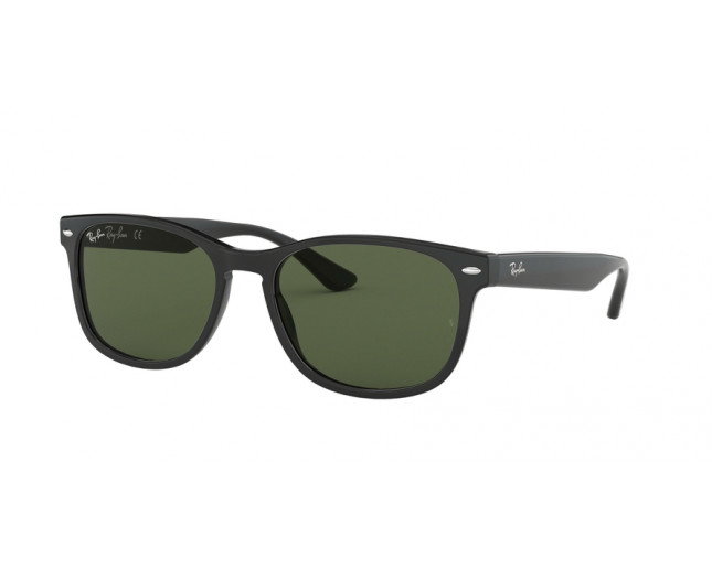 Ray-Ban New Wayfarer Top Black On Transparent Green 