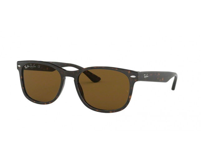 Ray Ban RB2184 Havana Brown