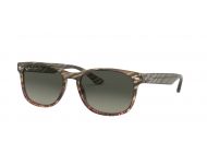 Ray-Ban RB2184 Grey Gradient Brown