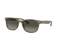 Ray-Ban New Wayfarer Top Black On Transparent Green 