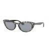 Ray-Ban RB4380N Brown Light Brown Gradient