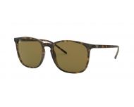 Ray-Ban RB4387 Havana Dark Brown